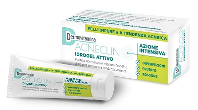 DERMOVITAMINA ACNECLIN IDROGEL ATTIVO AZIONE INTENSIVA 40 ML - Speedyfarma.it