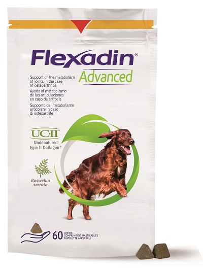 FLEXADIN ADVANCED CANE TUTTE LE TAGLIE 60 TAVOLETTE APPETIBILI - Speedyfarma.it