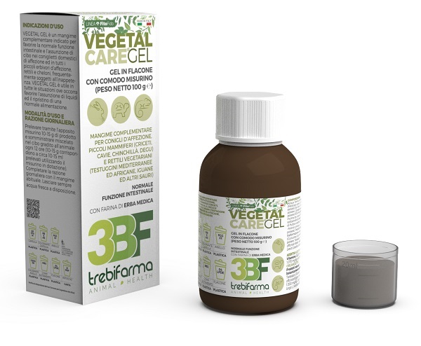 VEGETAL CARE GEL FLACONE 100 G - Speedyfarma.it