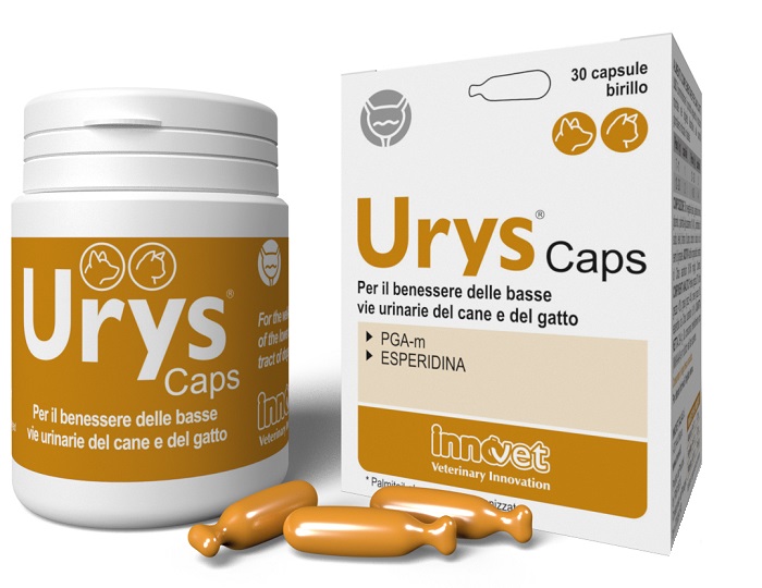 URYS CAPS 30 CAPSULE - Speedyfarma.it