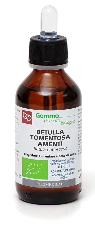 BETULLA PUBESCENS AMENTI MACERATO GLICERICO 100 ML BIO - Speedyfarma.it