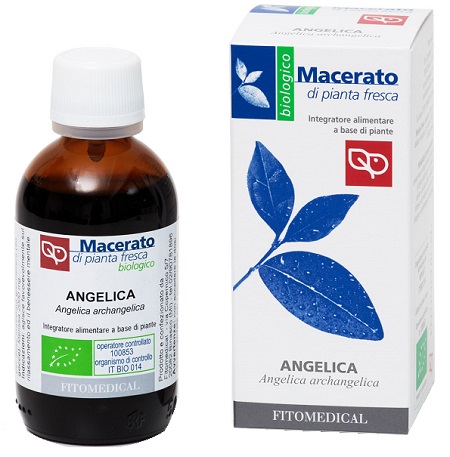 ANGELICA TINTURA MADRE 50 ML BIO - Speedyfarma.it