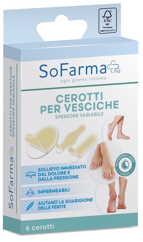 CEROTTO VESCICA ASSORTITI SOFARMAPIU' 6 PEZZI - Speedyfarma.it