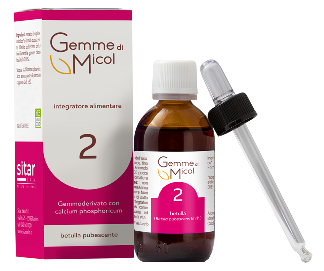 GEMME DI MICOL SOLUZIONE IDROGLICERALCOLICA 2 30 ML - Speedyfarma.it