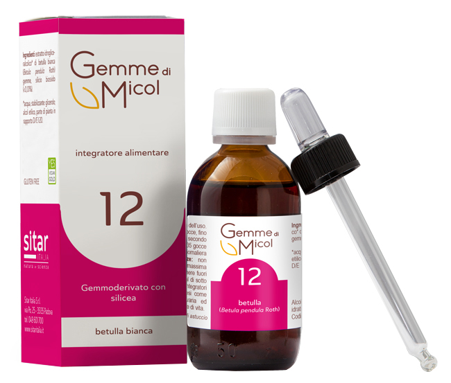 GEMME DI MICOL SOLUZIONE IDROGLICERALCOLICA 12 30 ML - Speedyfarma.it