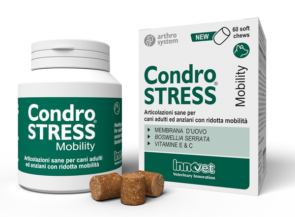 CONDROSTRESS MOBILITY 60 SOFT CHEWS - Speedyfarma.it
