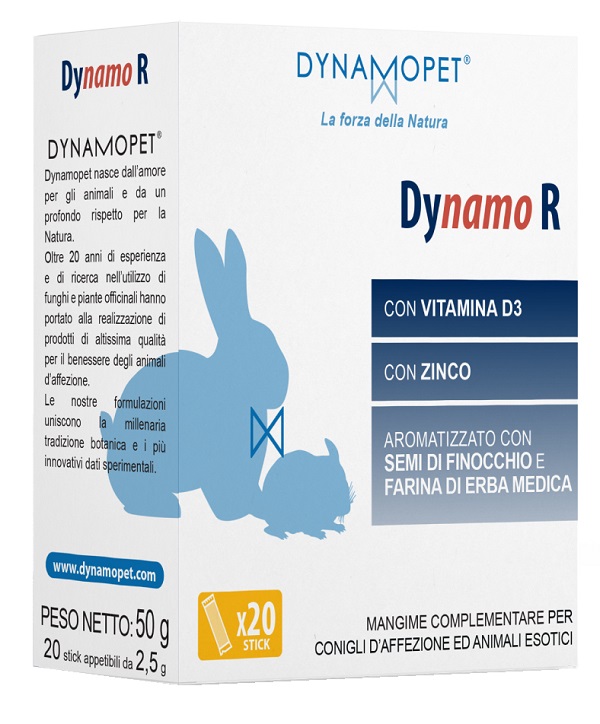 DYNAMO R 20 STICK DA 2,5 G - Speedyfarma.it